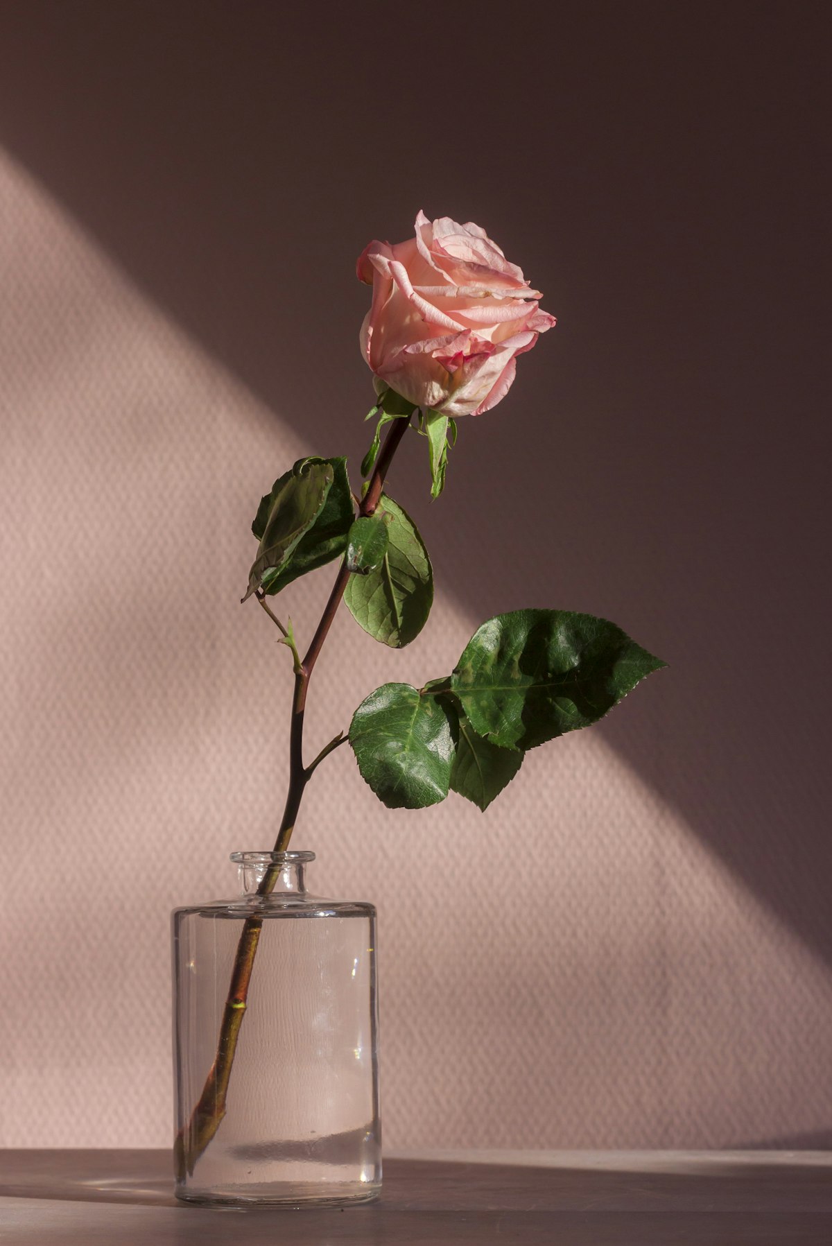 regalos san valentin hombre